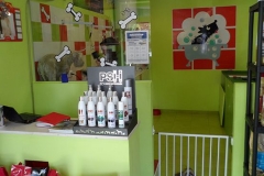 Peluqueria-Canina-Peludos-Interiores-2