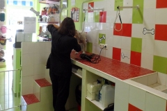 Peluqueria-Canina-Peludos-Interiores-Zona-Lavado-3