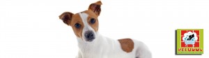 Localización Peluquería Canina Peludos