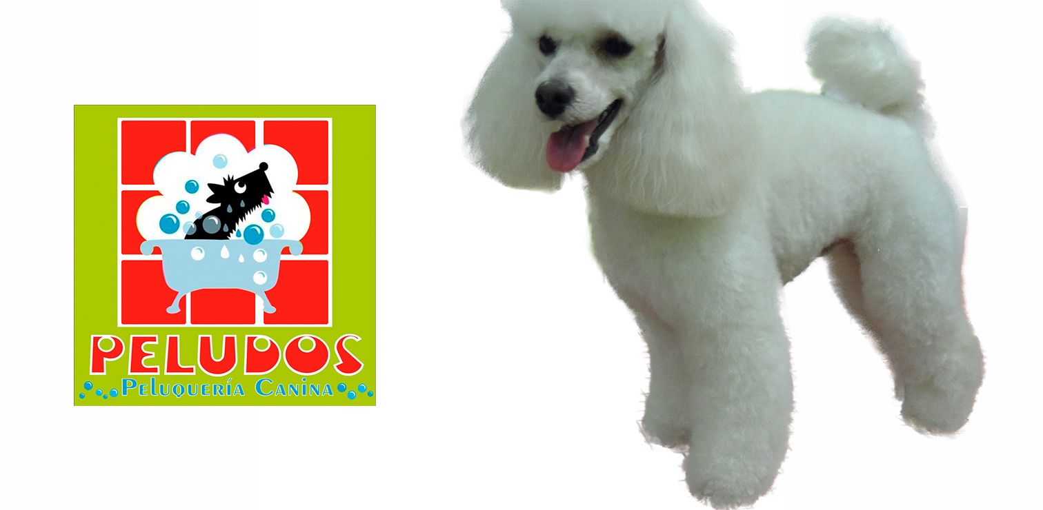 Peluquería Canina Peludos Banner 2