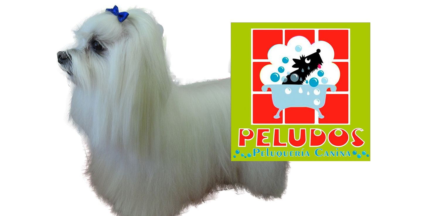 Peluquería Canina Peludos Banner 3