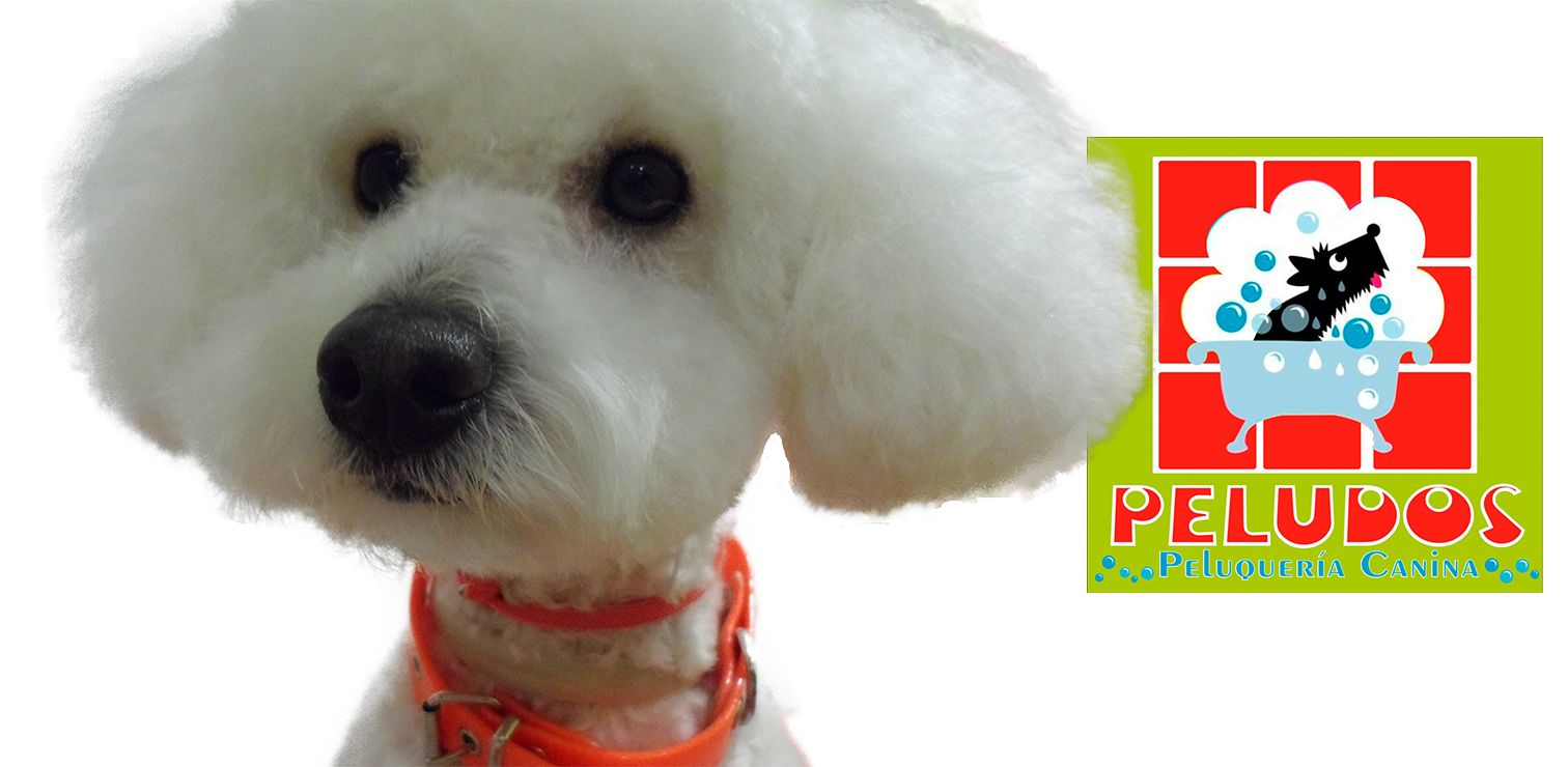 Banner Peluquería Canina Peludos 1
