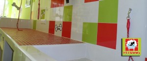 Peluquería Canina Peludos Interior Banner